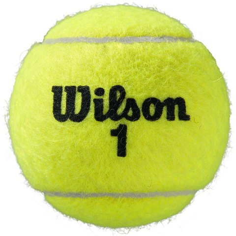 Piłki do tenisa ziemnego Wilson Roland Garros All Court 4 szt. WRT116400 Piłki do tenisa ziemnego Wilson Roland Garros All Court 4 szt. WRT116400