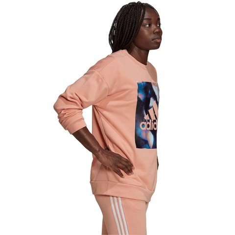 Bluza damska adidas Youforyou Sweatshirt morelowa HA2431 Bluza damska adidas Youforyou Sweatshirt morelowa HA2431