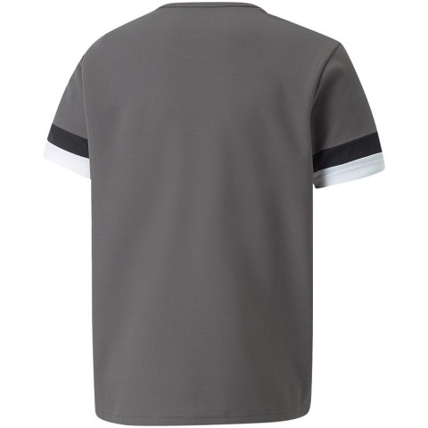 Koszulka dla dzieci Puma teamRISE Jersey Jr szara 704938 13 Koszulka dla dzieci Puma teamRISE Jersey Jr szara 704938 13