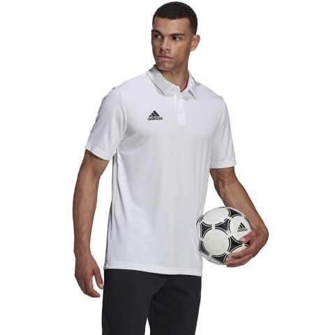 Koszulka męska adidas Entrada 22 Polo biała HC5067 Koszulka męska adidas Entrada 22 Polo biała HC5067