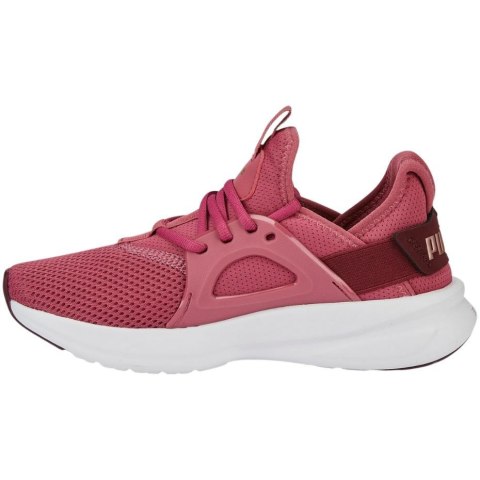 Buty damskie Puma Softride Enzo Evo brudny róż 377048 05 Buty damskie Puma Softride Enzo Evo brudny róż 377048 05