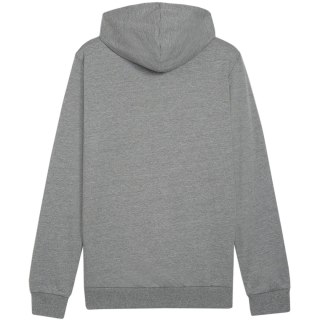 Bluza męska Puma Team Goal Casuals Hoody szara 658618 33