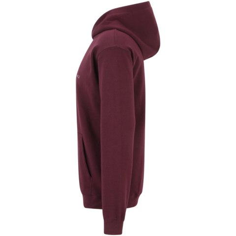Bluza męska Fila Brunssum burgundowa FAU0145 40107 Bluza męska Fila Brunssum burgundowa FAU0145 40107