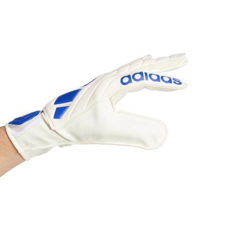 Rękawice bramkarskie adidas Copa Club Goalkeeper biało-niebieskie IX3835 Rękawice bramkarskie adidas Copa Club Goalkeeper biało-niebieskie IX3835