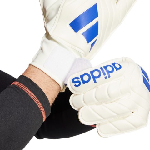Rękawice bramkarskie adidas Copa Club Goalkeeper biało-niebieskie IX3835 Rękawice bramkarskie adidas Copa Club Goalkeeper biało-niebieskie IX3835