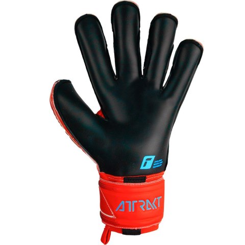 Rękawice Reusch Attrakt Gold X Evolution Cut Finger Support 53 70 950 3333 Rękawice Reusch Attrakt Gold X Evolution Cut Finger Support 53 70 950 3333