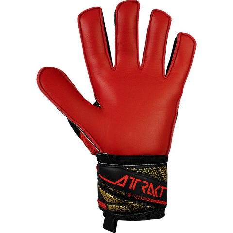 Rękawice Reusch Attrakt Solid 55 55 70 515 7075 Rękawice Reusch Attrakt Solid 55 55 70 515 7075