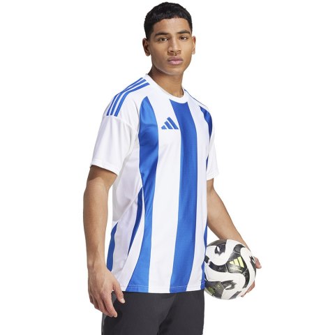 Koszulka adidas STRIPED 24 JSY IW2144 Koszulka adidas STRIPED 24 JSY IW2144
