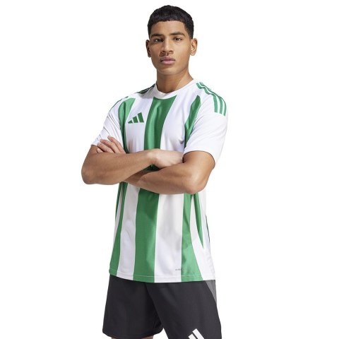 Koszulka adidas STRIPED 24 JSY IW2148 Koszulka adidas STRIPED 24 JSY IW2148