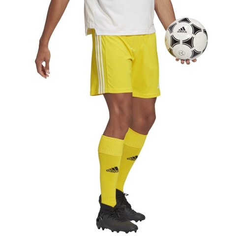 Spodenki adidas SQUADRA 21 Short GN5772 Spodenki adidas SQUADRA 21 Short GN5772
