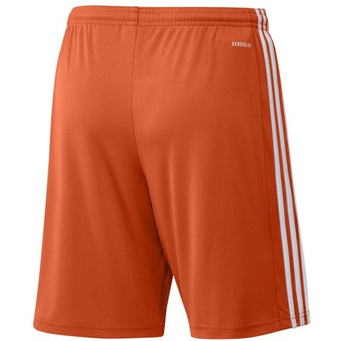 Spodenki adidas SQUADRA 21 Short GN8084 Spodenki adidas SQUADRA 21 Short GN8084