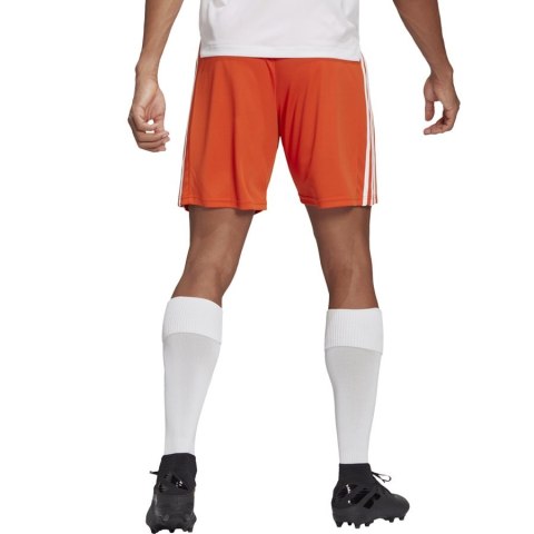 Spodenki adidas SQUADRA 21 Short GN8084 Spodenki adidas SQUADRA 21 Short GN8084