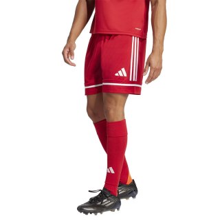 Spodenki adidas SQUADRA 25 Short JN5466