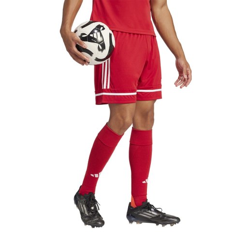 Spodenki adidas SQUADRA 25 Short JN5466 Spodenki adidas SQUADRA 25 Short JN5466