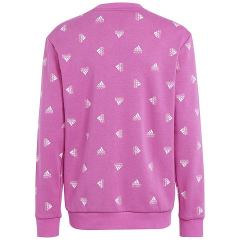 Bluza adidas BLUV SWT girls IC5573 Bluza adidas BLUV SWT girls IC5573