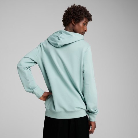Bluza męska Puma Ess 2 Color Small No.1 Logo Hoodie TR miętowa 684719 67 Bluza męska Puma Ess 2 Color Small No.1 Logo Hoodie TR miętowa 684719 67