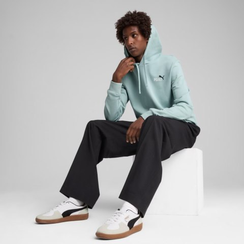 Bluza męska Puma Ess 2 Color Small No.1 Logo Hoodie TR miętowa 684719 67 Bluza męska Puma Ess 2 Color Small No.1 Logo Hoodie TR miętowa 684719 67