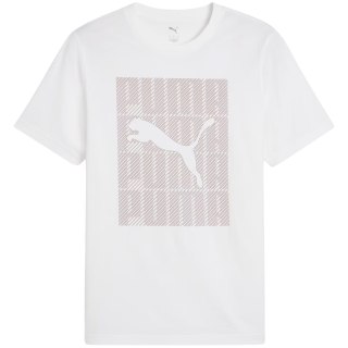 Koszulka męska Puma Graphics Wording Tee biała 684825 02