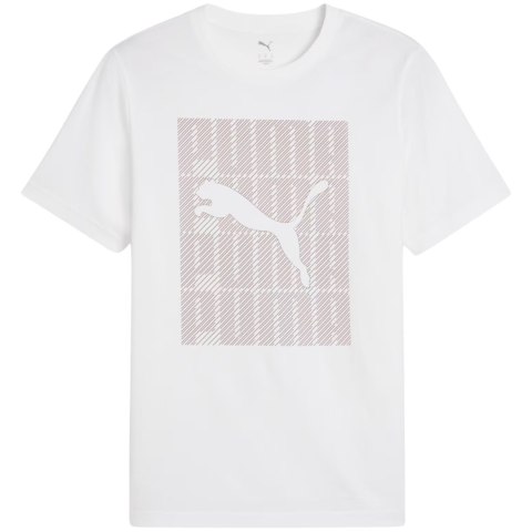 Koszulka męska Puma Graphics Wording Tee biała 684825 02 Koszulka męska Puma Graphics Wording Tee biała 684825 02