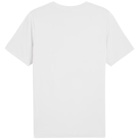 Koszulka męska Puma Graphics Wording Tee biała 684825 02 Koszulka męska Puma Graphics Wording Tee biała 684825 02