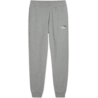 Spodnie męskie Puma Ess 2 Color No.1 Logo szare 684714 03