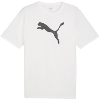 Koszulka męska Puma Team Rise Logo Jersey Cotton biała 658705 04