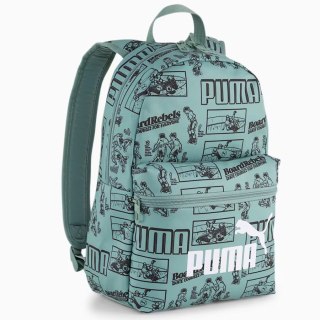 Pleack Puma Phase 091324-01