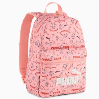 Pleack Puma Phase 091324-02