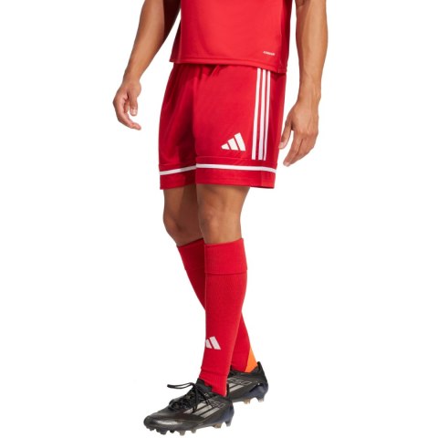 Spodenki męskie adidas Squadra 25 czerwone JN5466 Spodenki męskie adidas Squadra 25 czerwone JN5466