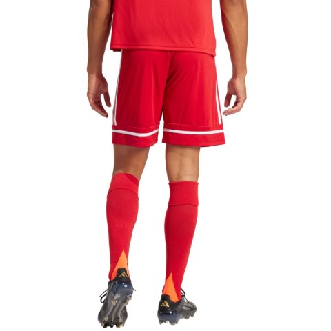 Spodenki męskie adidas Squadra 25 czerwone JN5466 Spodenki męskie adidas Squadra 25 czerwone JN5466