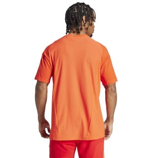 Koszulka adidas FC Bayern CO Tee IQ0601