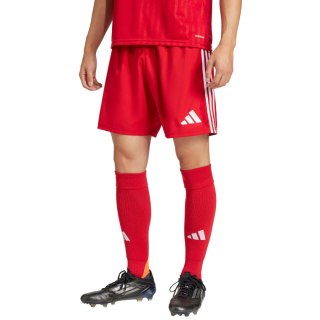 Spodenki męskie adidas Tastigo 25 czerwone JN7157