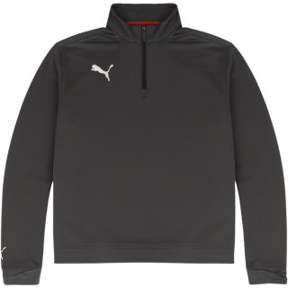 Bluza męska Puma VI 08 1/2 Zip Training Top szara 651133 03