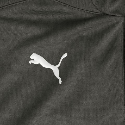 Bluza męska Puma VI 08 1/2 Zip Training Top szara 651133 03 Bluza męska Puma VI 08 1/2 Zip Training Top szara 651133 03