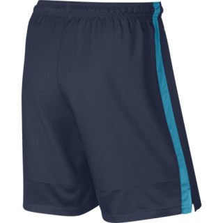 SPODENKI NIKE STRIKE LGR WVN /688390 411