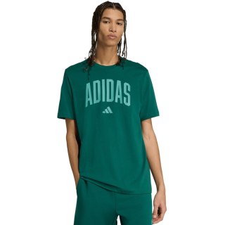 Koszulka męska adidas Collegiate Lineage Graphic zielona KA7135