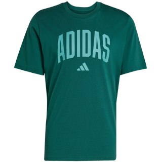 Koszulka męska adidas Collegiate Lineage Graphic zielona KA7135