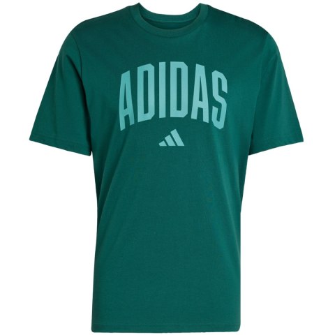 Koszulka męska adidas Collegiate Lineage Graphic zielona KA7135 Koszulka męska adidas Collegiate Lineage Graphic zielona KA7135