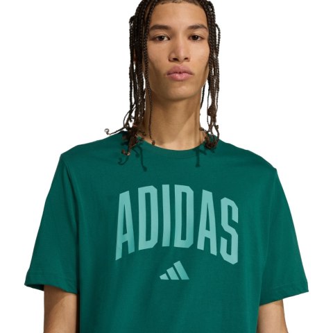 Koszulka męska adidas Collegiate Lineage Graphic zielona KA7135 Koszulka męska adidas Collegiate Lineage Graphic zielona KA7135