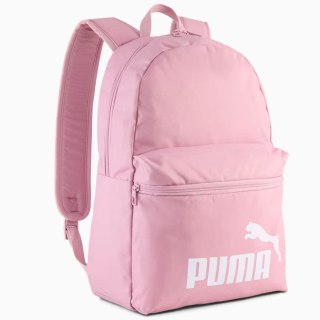 Pleack Puma Phase 091164-17