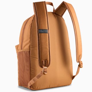 Pleack Puma Phase 091164-18