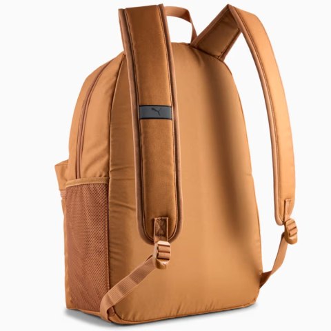 Pleack Puma Phase 091164-18