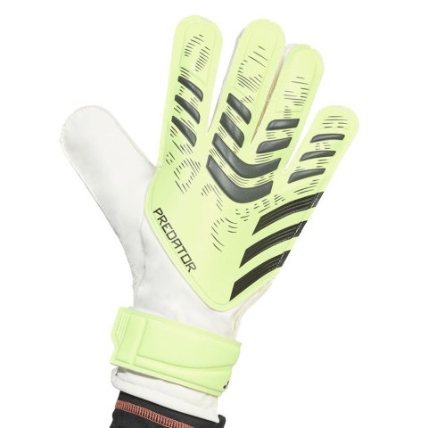 Rękawice adidas Predator GL TRN JN5356 Rękawice adidas Predator GL TRN JN5356