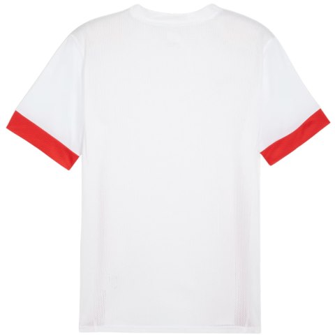 Koszulka męska Puma teamGoal Matchday Jersey biało-czerwona 705747 11