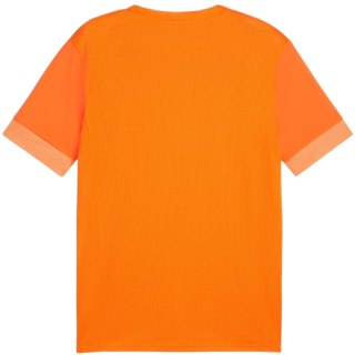 Koszulka męska Puma teamGoal Matchday Jersey pomarańczowa 705747 08