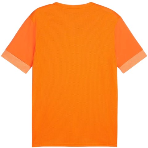 Koszulka męska Puma teamGoal Matchday Jersey pomarańczowa 705747 08