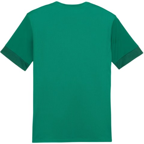 Koszulka męska Puma teamGoal Matchday Jersey zielona 705747 05