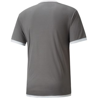 Koszulka męska Puma teamLIGA Jersey szara 704917 13