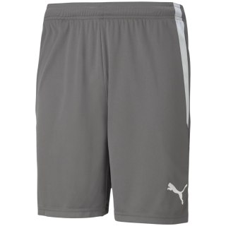 Spodenki męskie Puma teamLIGA szare 704924 13