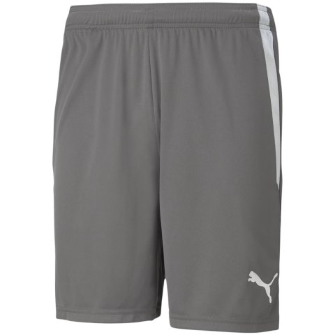 Spodenki męskie Puma teamLIGA szare 704924 13